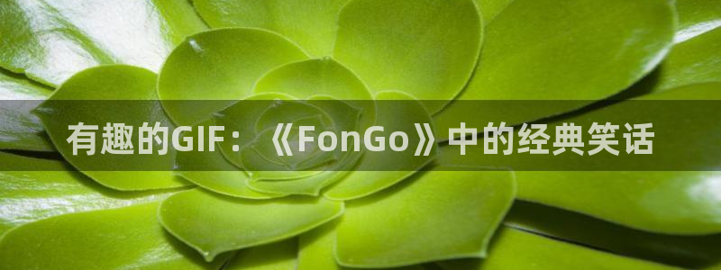哔咔漫画在线看漫画下载：有趣的GIF：《FonGo》中的经典笑话