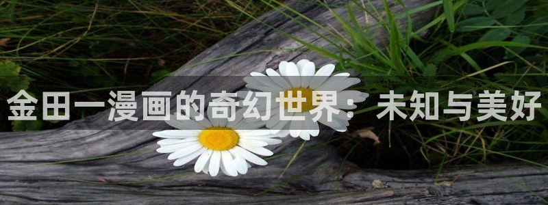 哔咔哔咔漫画网站：金田一漫画的奇幻世界：未知与美好